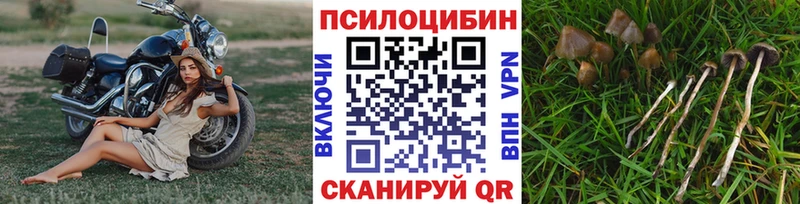 Псилоцибиновые грибы Cubensis Новая Ляля
